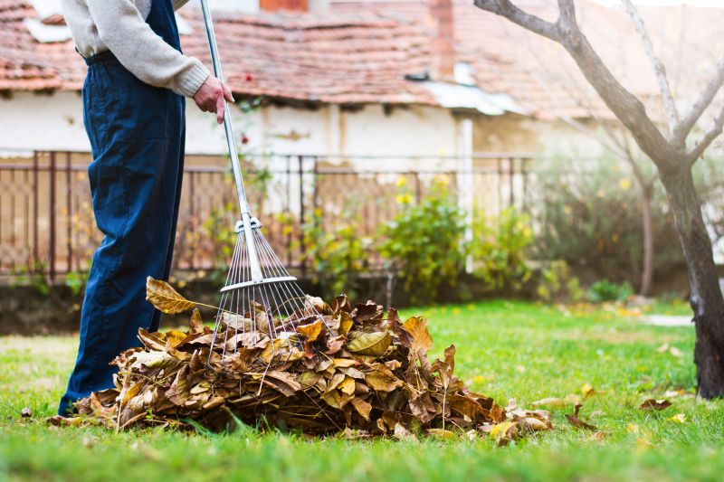 Leaf Raking and Gathering