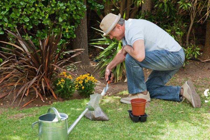 Professional Garden Design