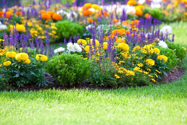 Flower Bed Maintenance in Crossville