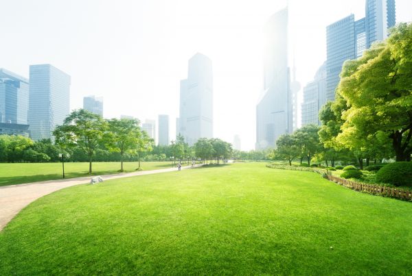 Commercial Landscape Maintenance in Crossville