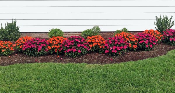 Flower Bed Weeding Service in Crossville