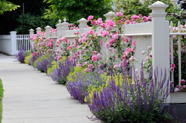 Garden Handyman Service in Crossville