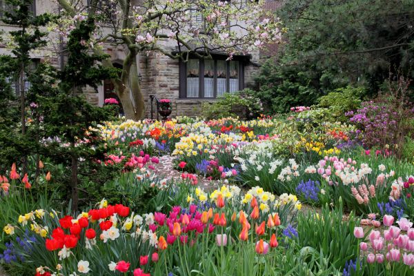 Garden Maintenance Service in Crossville
