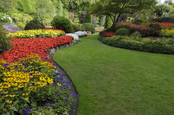Landscaping Maintenance in Crossville
