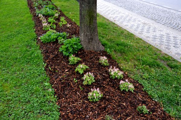 Mulch Replacement Service in Crossville