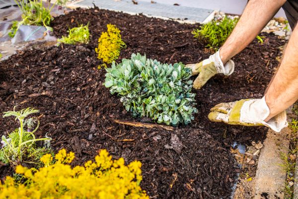 Weeding And Mulching in Crossville