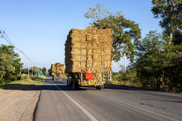 Pine Straw Delivery in Crossville