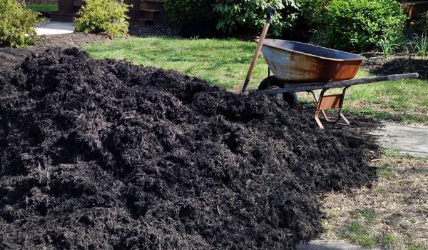 Black Mulch Delivery in Crossville