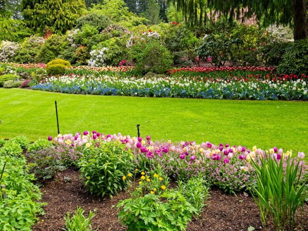 Residential Landscape Design in Crossville