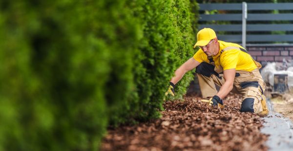 Cypress Mulch Installation in Crossville