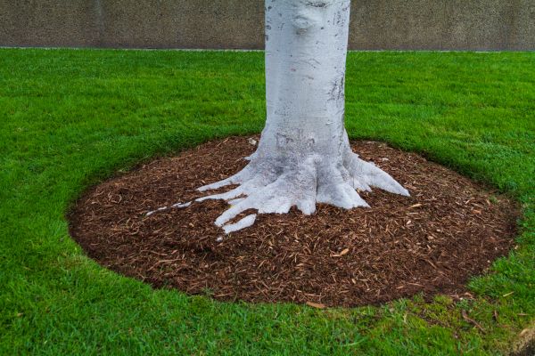 Brown Mulch Installation in Crossville