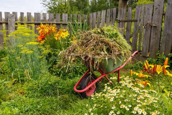 Garden Cleanup Service in Crossville