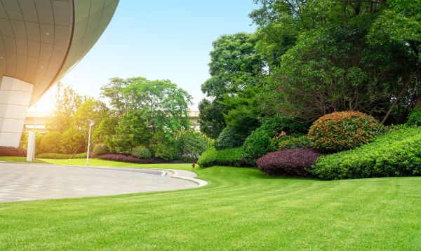 Business Landscape Design in Crossville