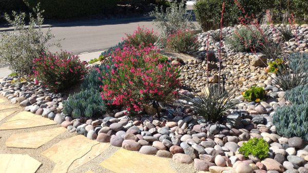 Xeriscape Landscaping in Crossville