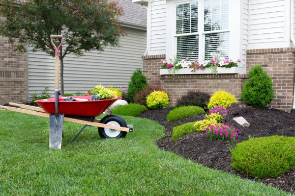 Tree And Shrub Planting in Crossville