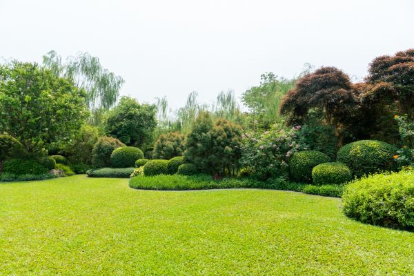 Tree Landscaping in Crossville