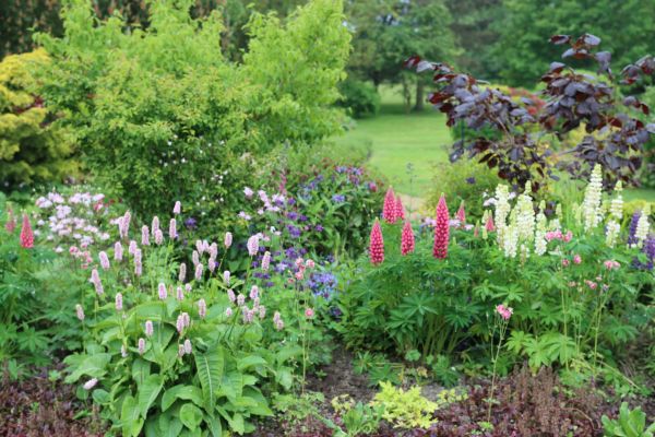 Flower Bed Planting in Crossville