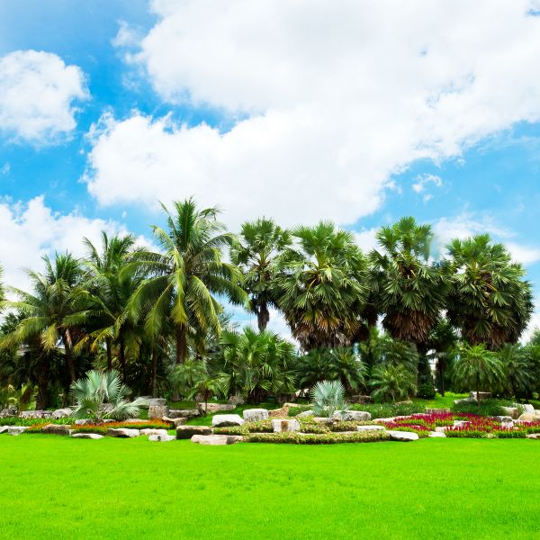 Tropical Landscaping in Crossville