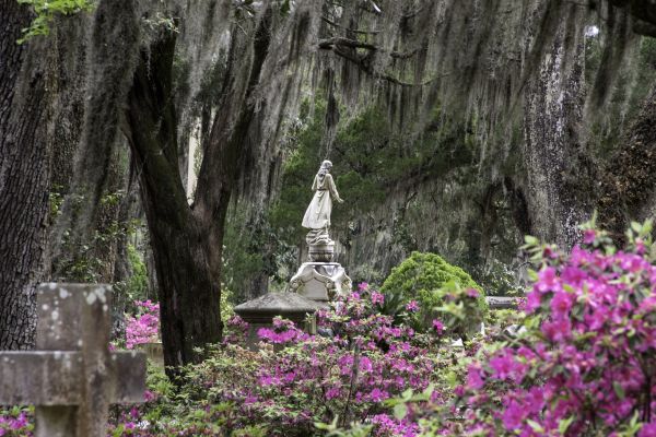 Cemetery Landscaping in Crossville