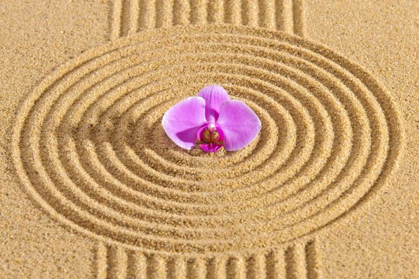 Sand Garden Landscaping in Crossville