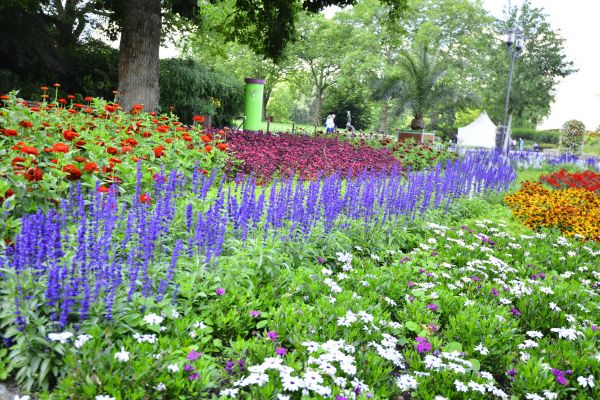 Perennials Planting in Crossville