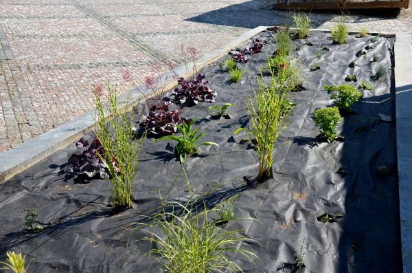 Landscape Fabric Installation in Crossville