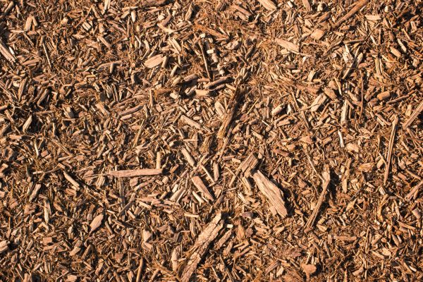 Wood Chips Removal in Crossville