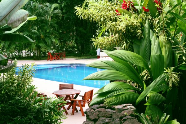 Pool Area Landscaping in Crossville