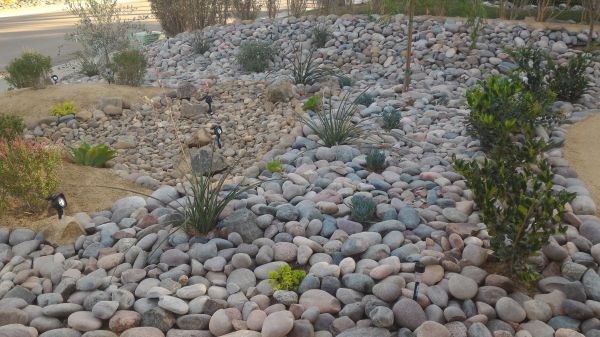 Yard Xeriscaping in Crossville