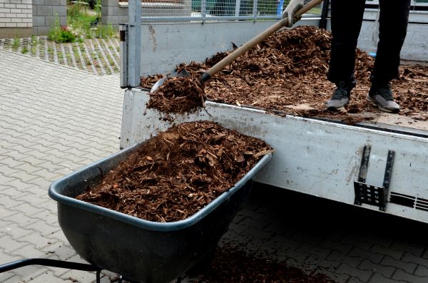 Cedar Mulch Delivery in Crossville