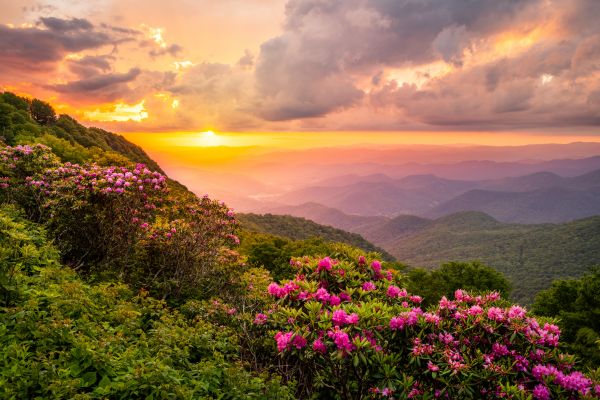 Hill Landscaping in Crossville