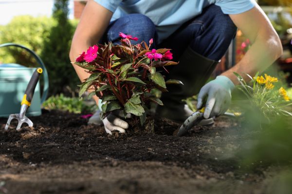 Plant Replacement in Crossville
