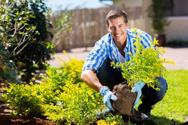 Shrub Landscaping in Crossville