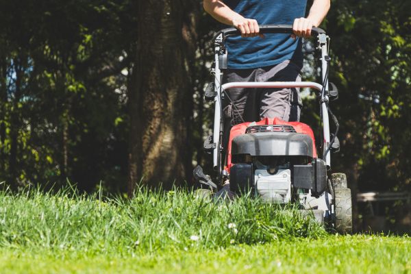 Garden Trimming Service in Crossville