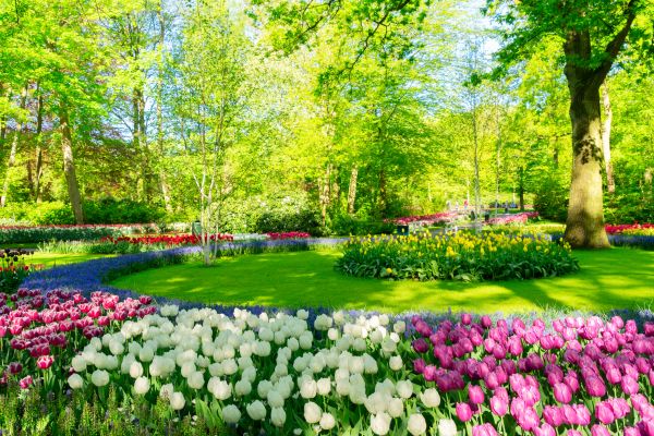 Flower Landscaping in Crossville