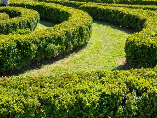 Bush Landscaping in Crossville