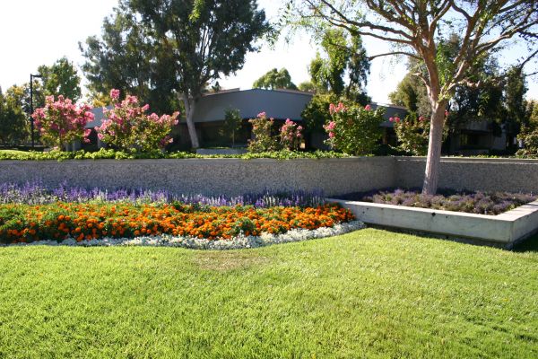 Commercial Landscape Service in Crossville