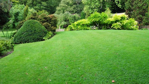 Commercial Landscape Design in Crossville