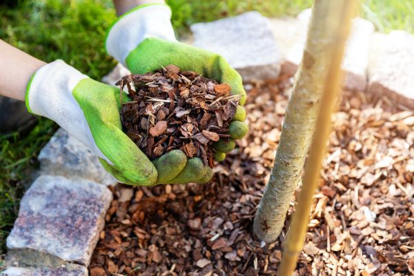 Tree Bark Delivery in Crossville