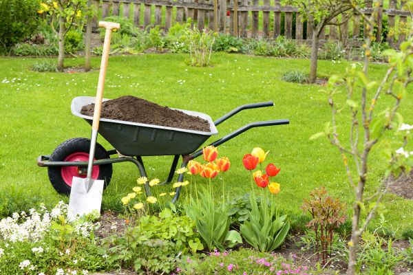 Spring Yard Renovation in Crossville