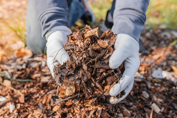 Shredded Mulch Installation in Crossville