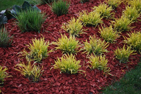 Red Mulch Installation in Crossville