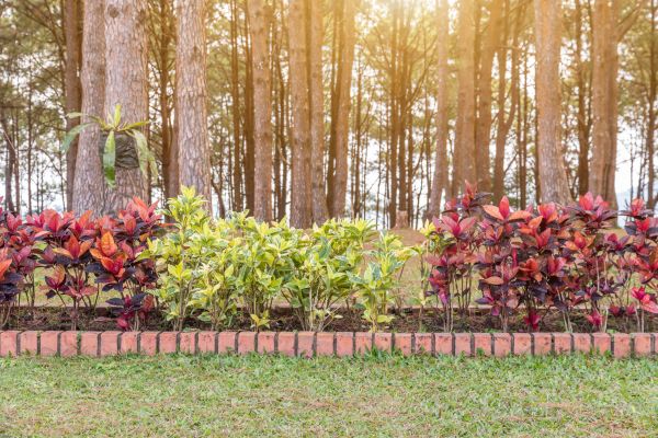 Small Garden Landscaping in Crossville