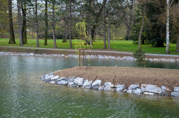 Pond Landscaping Service in Crossville