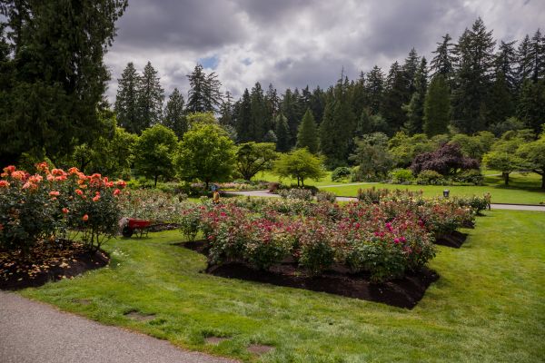 Flower Garden Landscaping in Crossville