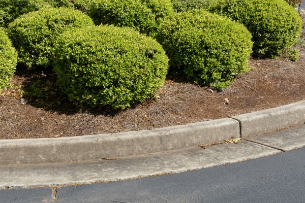 Pine Mulch Installation in Crossville