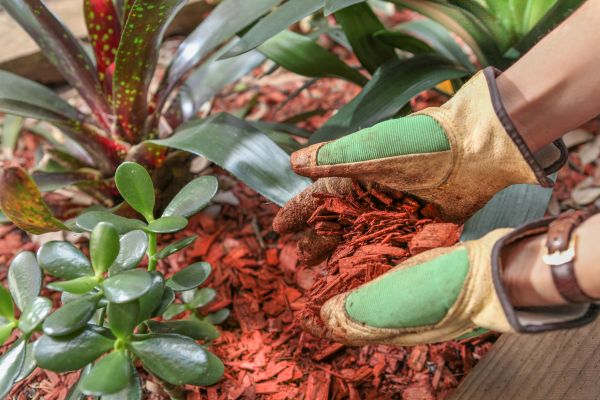 Residential Mulching in Crossville