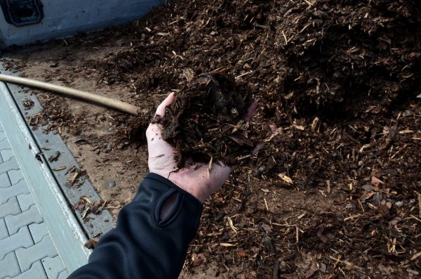 Condo Mulching in Crossville