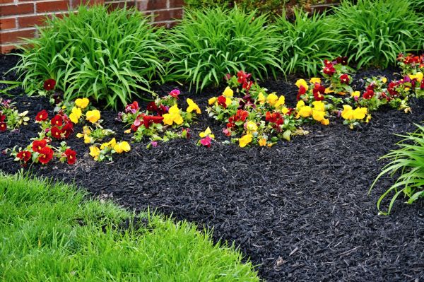 Apartment Mulching in Crossville