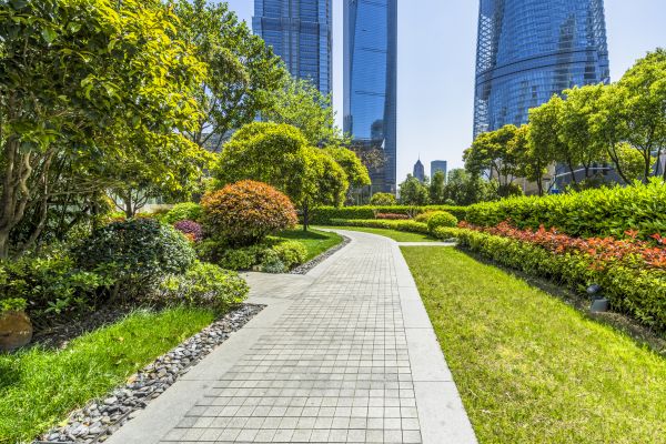 Commercial Landscaping in Crossville